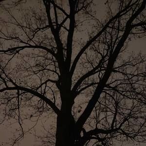 Meet your Posher, Mindy